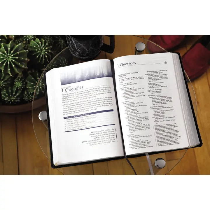 NIV, Men's Devotional Bible, Large Print